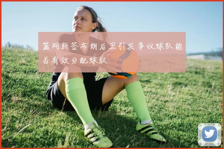 篮网新签布朗后卫引发争议球队能否有效分配球权